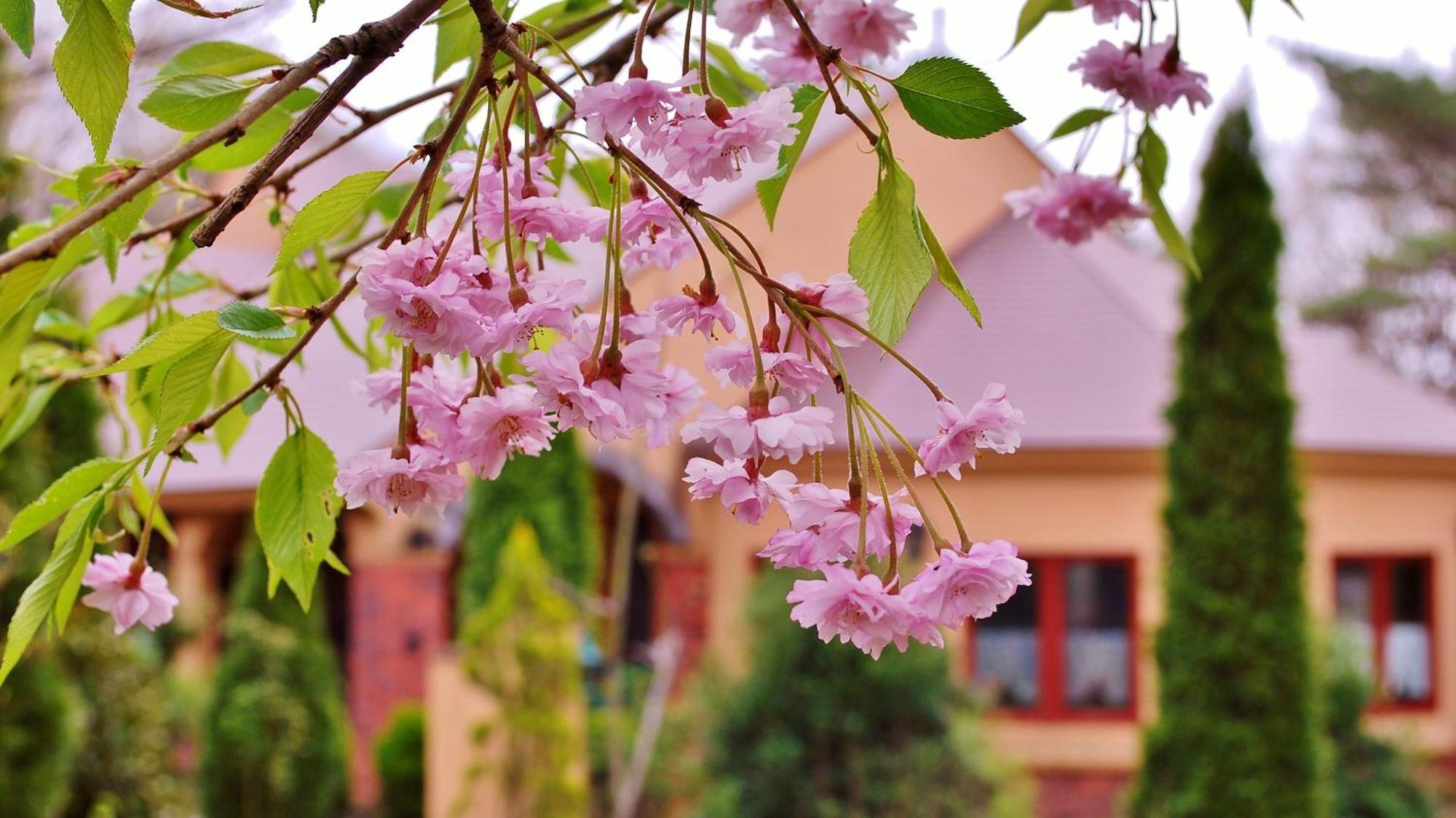 Aromatic Garden Villa La Poltrona Nasu Bagian luar foto