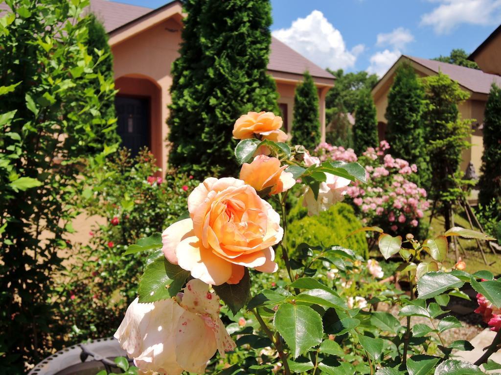 Aromatic Garden Villa La Poltrona Nasu Bagian luar foto