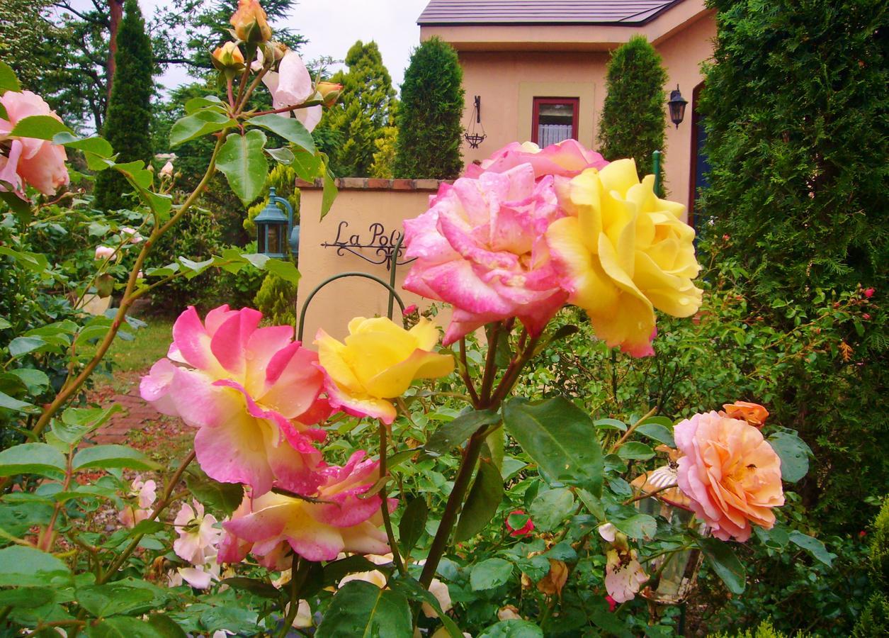 Aromatic Garden Villa La Poltrona Nasu Bagian luar foto