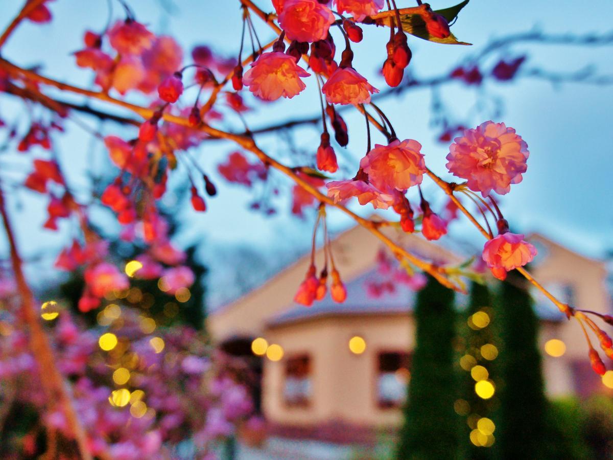 Aromatic Garden Villa La Poltrona Nasu Bagian luar foto