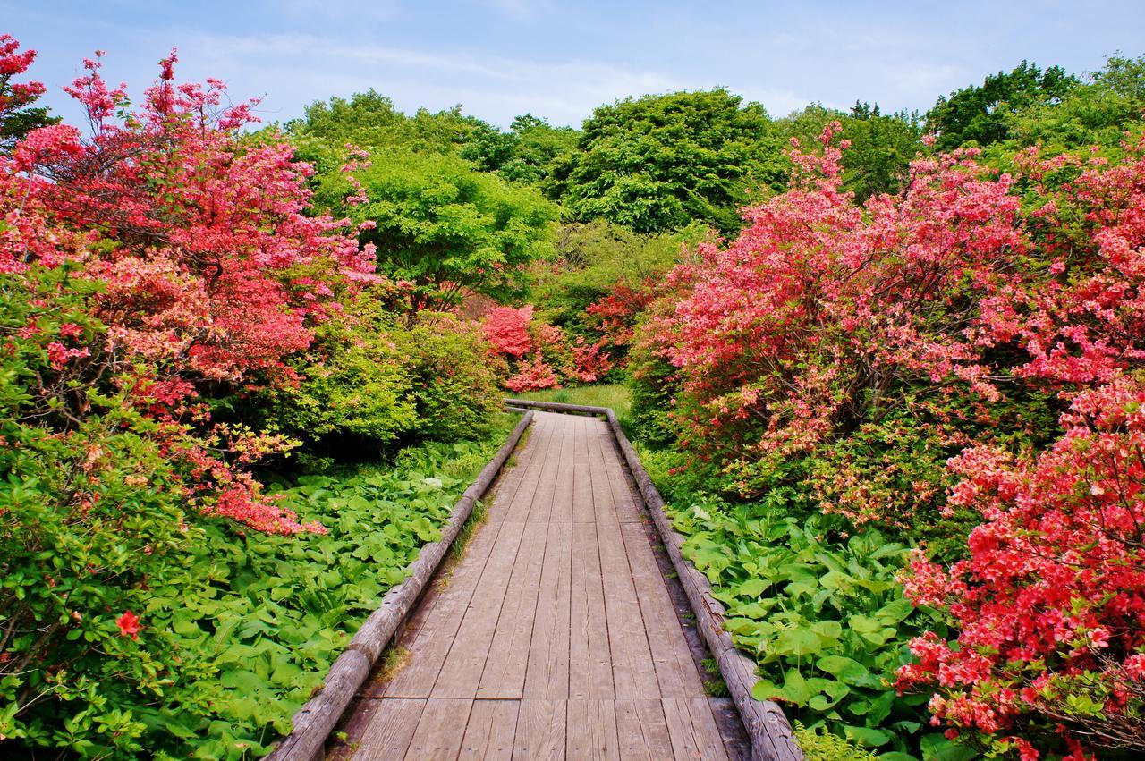 Aromatic Garden Villa La Poltrona Nasu Bagian luar foto