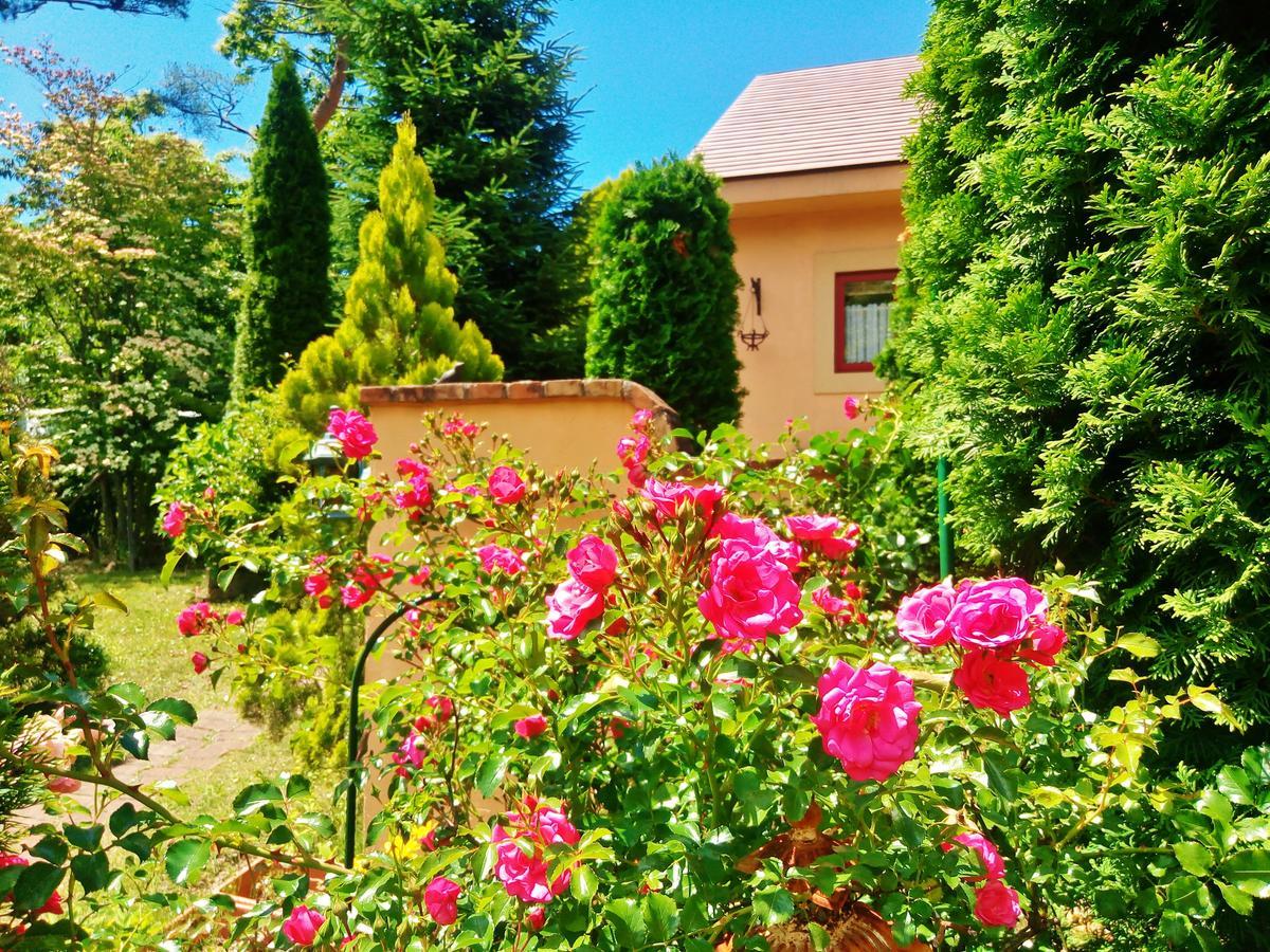 Aromatic Garden Villa La Poltrona Nasu Bagian luar foto