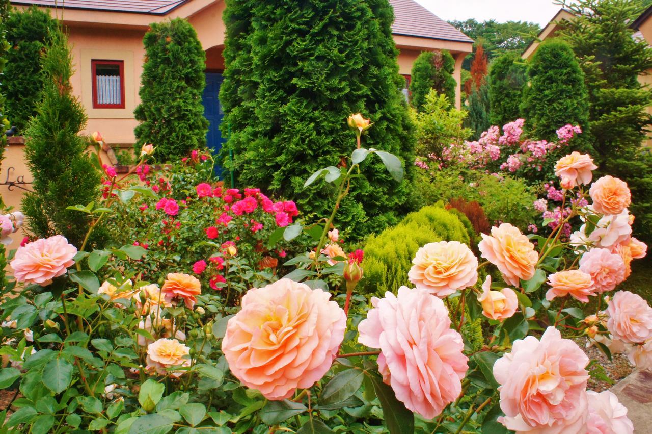 Aromatic Garden Villa La Poltrona Nasu Bagian luar foto